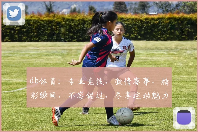 db体育：专业竞技，激情赛事，精彩瞬间，不容错过，尽享运动魅力，3大亮点，必看推荐